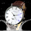 Men's Fashion Blue Roman Literal Quartz Watch