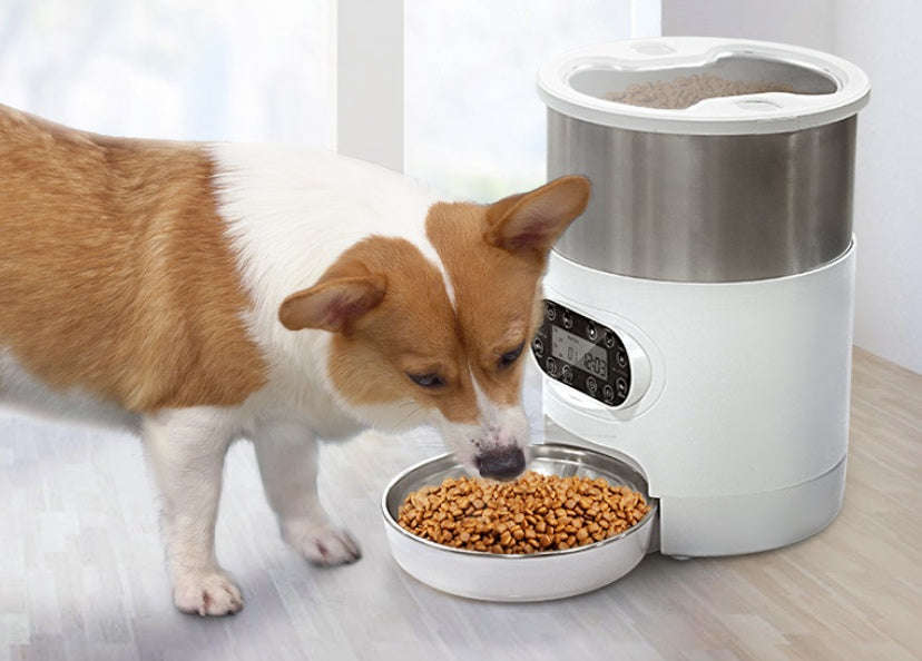Aplicație inteligentă Hrănitor pentru animale de companie Distribuitor automat de hrană pentru pisici și câini Bol din oțel inoxidabil pentru pisici și câini cu hrănire sincronizată de înregistrare